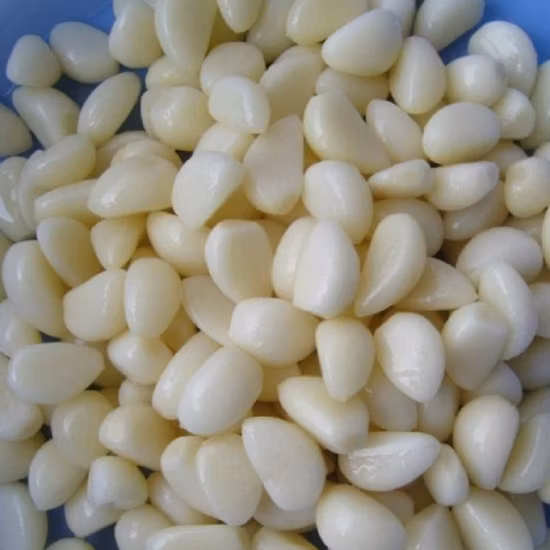 Высококачественный маринованный чеснок в рассоле, упакованный в стеклянные банки оптом